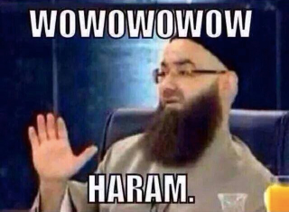 Illustration for article titled Halal memes